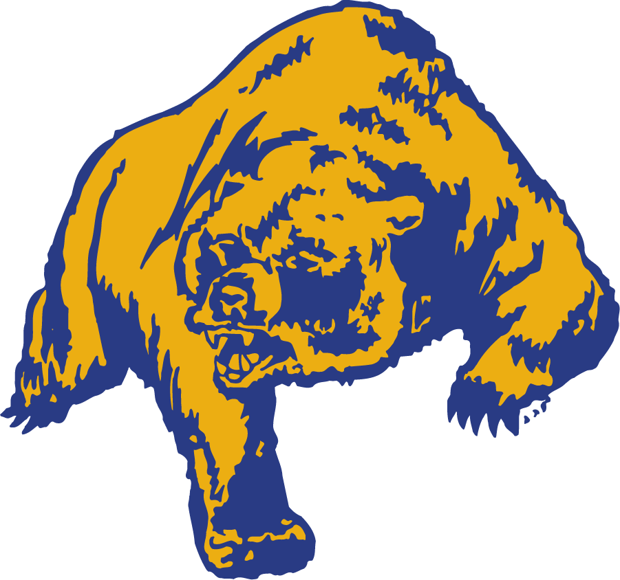 Northern Colorado Bears 1980-1998 Primary Logo diy iron on heat transfer